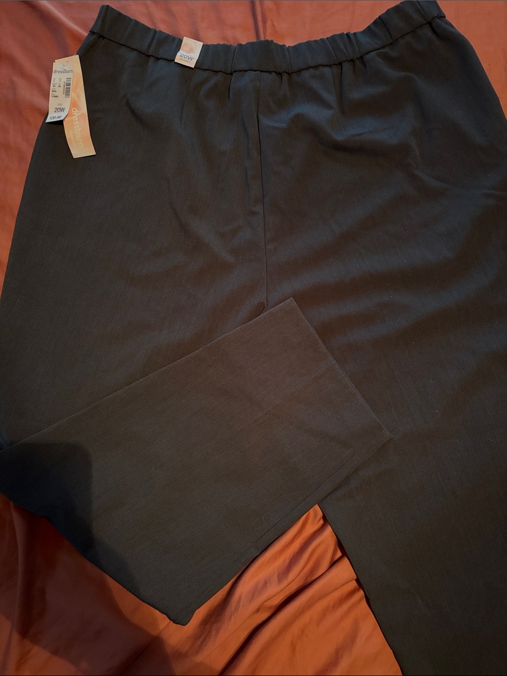 NWT women’s size 20w dressbarn dark gray Pull-On Straight Pants Dark gray